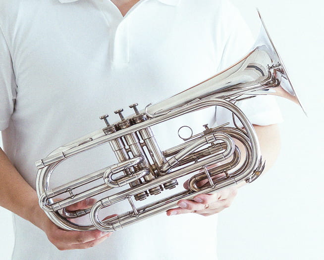 フリューガボーン